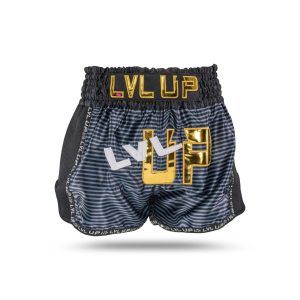 LVL UP FLASH 2 | Chok Dee Muay Thai Onlineshop